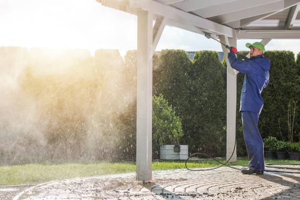 Best Sidewalk and Walkway Cleaning  in North Braddock, PA
